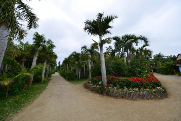 由布島(5)：植物園