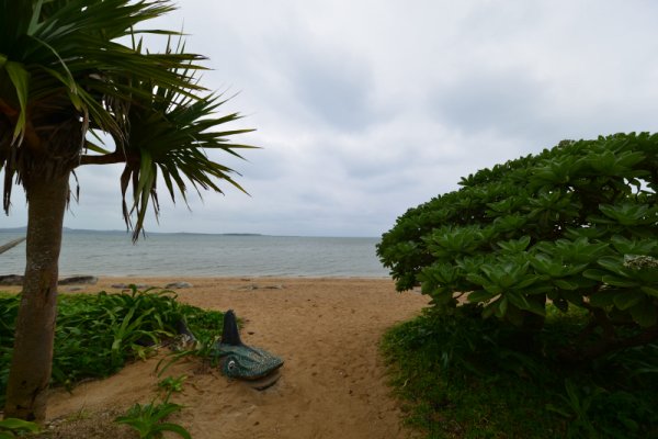 由布島(6)：東の浜辺