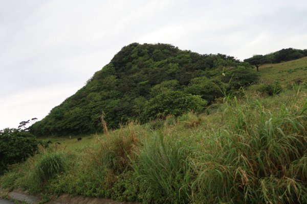 久宇良岳付近