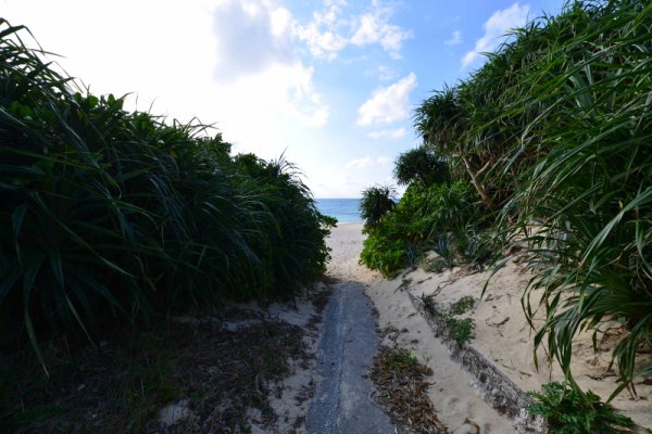 赤崎海岸(1)