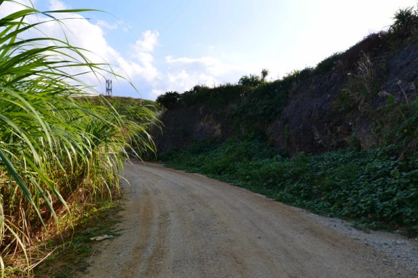 ビドウ遊歩道(1)