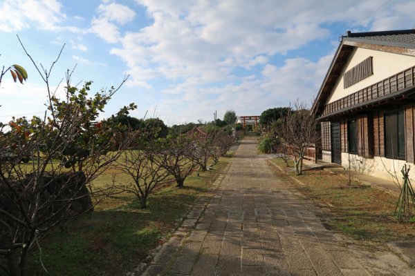 琴平神社