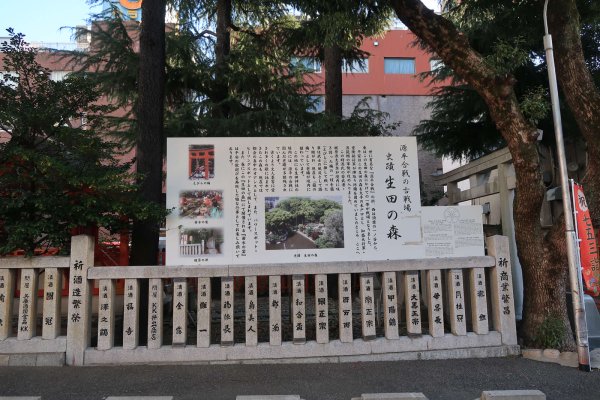 生田神社(3)：生田の森
