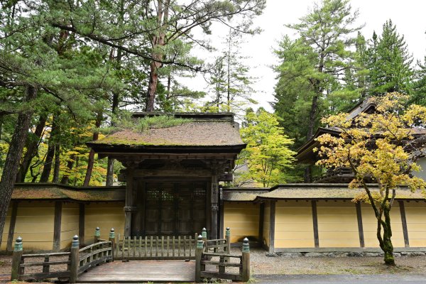 勧学院の山門