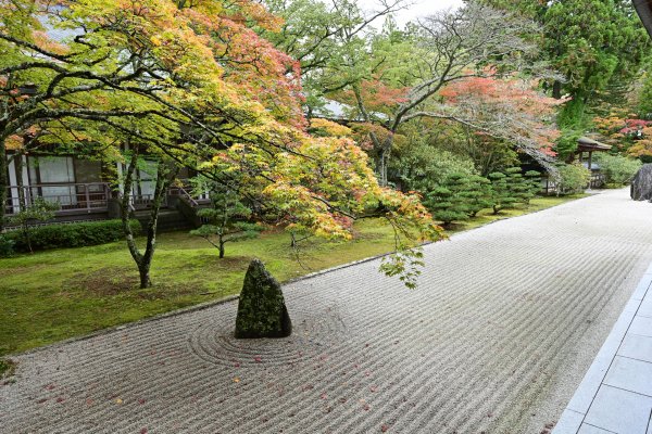 金剛峯寺(7)