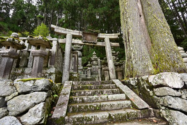 奥之院(3)：薩摩島津家