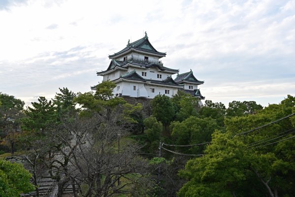 和歌山城(4)