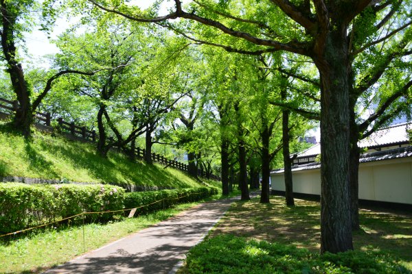 熊本城(7)