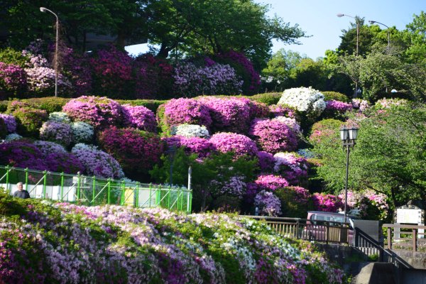 熊本城(23)