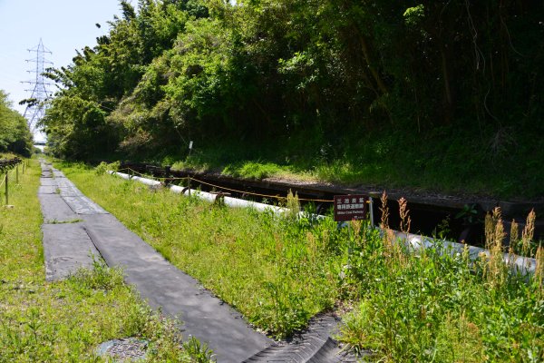 三池炭鉱専用軌道跡(2)