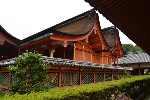 伊佐爾波神社(3)：本殿