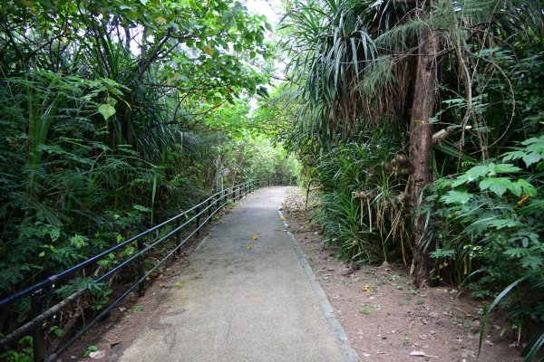 パイナガマ海空すこやか公園(2)