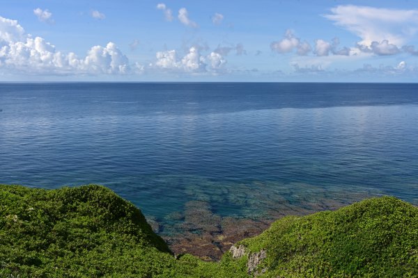 白鳥岬　西海岸公園(1)