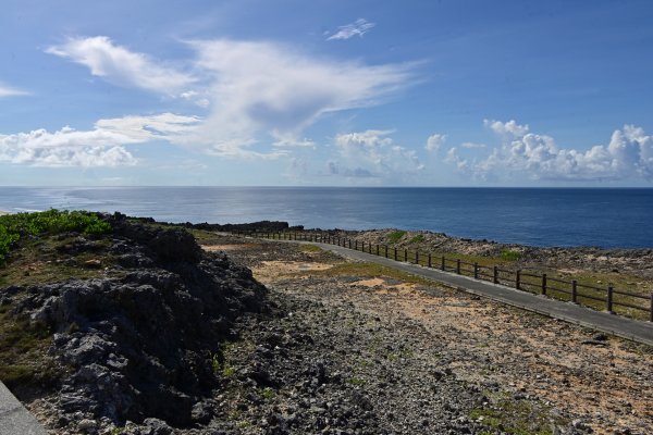 白鳥岬　西海岸公園(3)