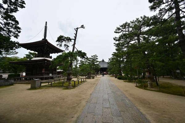 知恩寺(2)