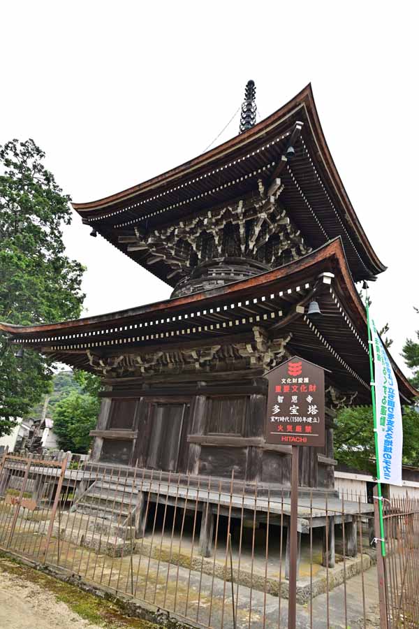 知恩寺(3)