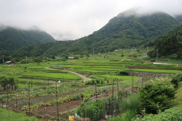 袖志の棚田