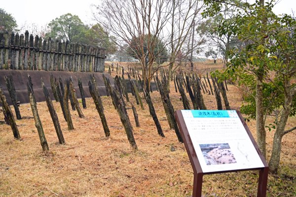 吉野ヶ里遺跡(2)