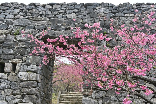 今帰仁城跡(3)：平郎門