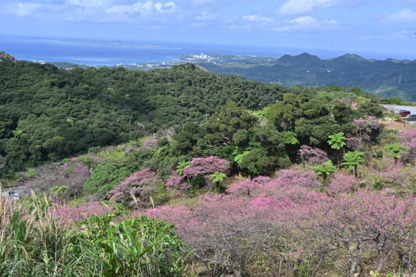 八重岳(3)：展望台から