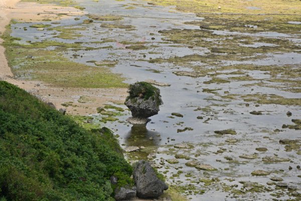 知念岬(2)：ノッチ