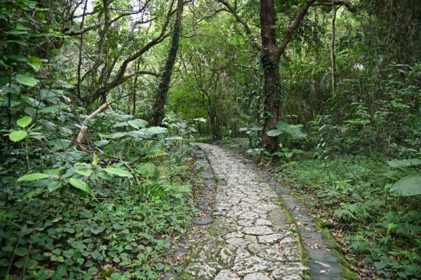 斎場御嶽(10)：参道