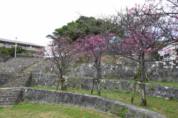 緑が丘公園(2)：渡嘉敷三良の墓