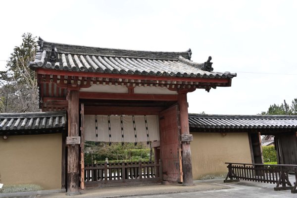 薬師寺(6)