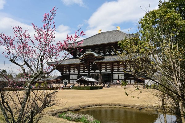 東大寺(8)