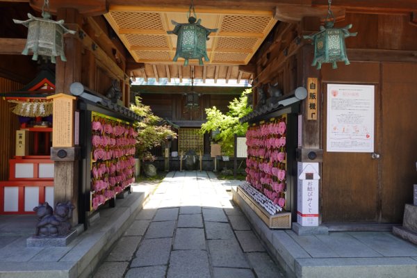 白山神社：なでうさぎと招き猫