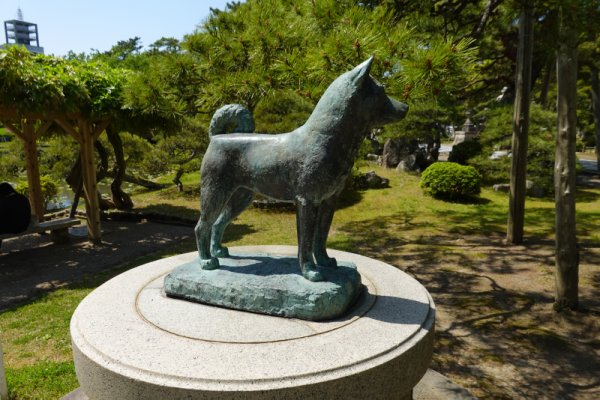 白山神社：忠犬タマ公