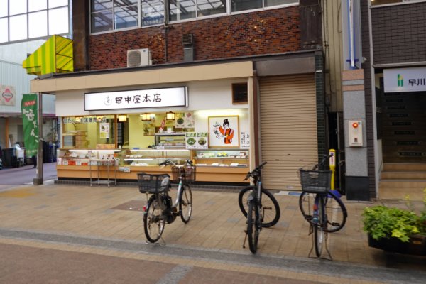 田中屋本店：笹団子