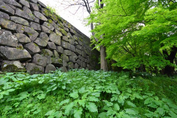 金沢城(8)：戌亥櫓の近く