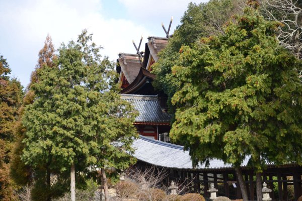 吉備津神社(6)：本殿と拝殿