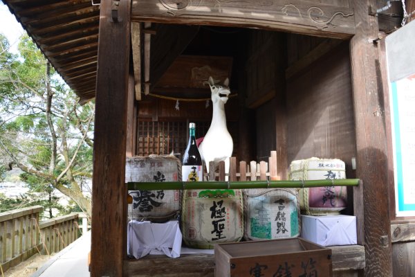 吉備津神社(8)：神馬