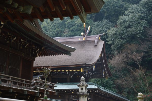 吉備津彦神社(5)：本殿