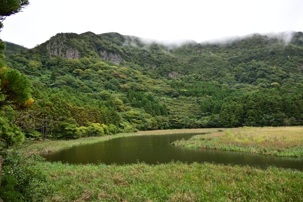 油井ノ池(1)