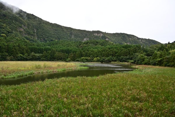 油井ノ池(1)