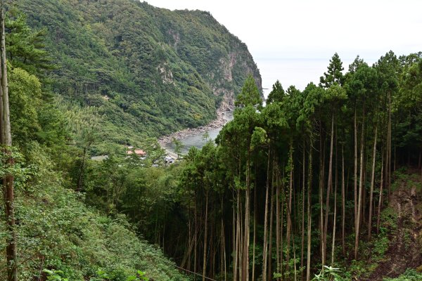 大津久の礫岩(1)