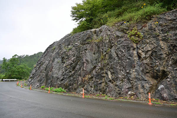 隠岐片麻岩(2)