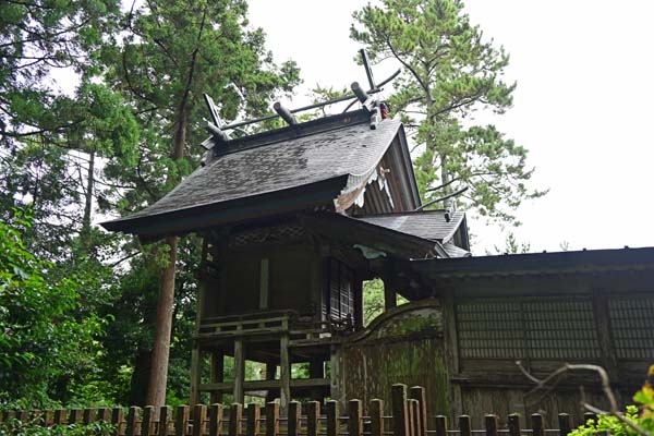 春日神社(5)