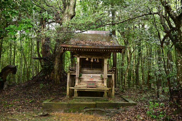 隠岐国分寺(7)