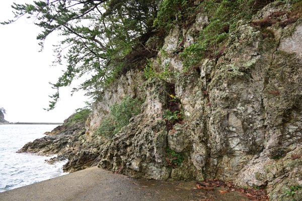 飯美の球顆流紋岩(1)