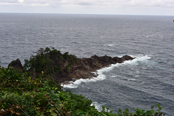 崎山岬(2)