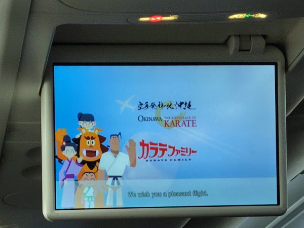 JAL192便：安全ビデオ