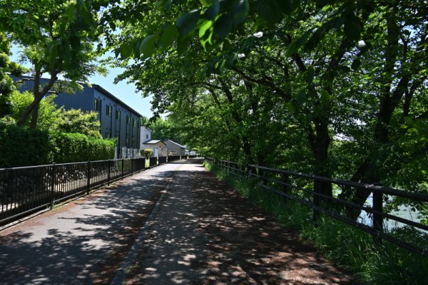富岩運河遊歩道
