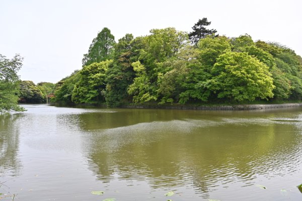 高岡城址（古城公園）