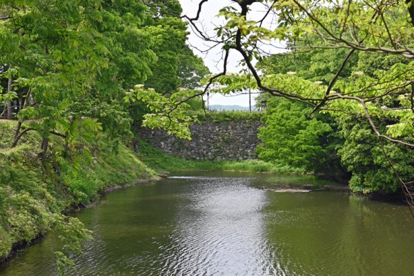 高岡城跡の土橋