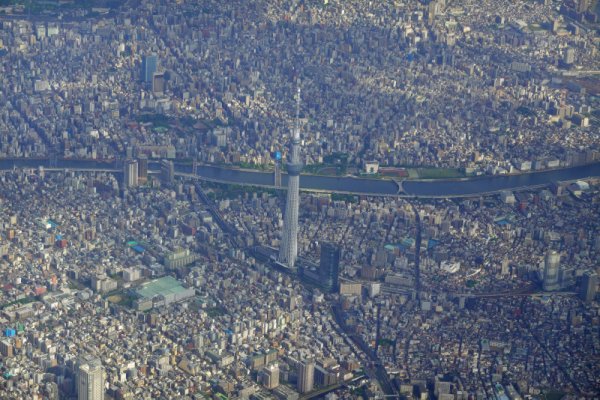 JAL183便の機内：スカイツリー