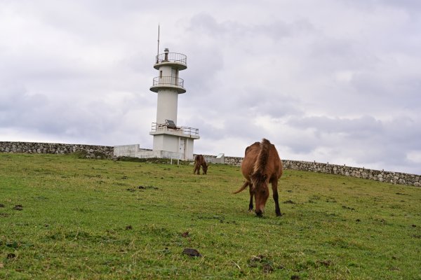 東崎灯台と与那国馬
